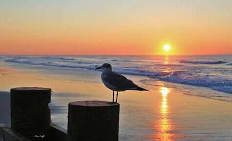 FB_IMG_16143273372474462