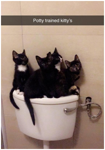 Potty-Trained